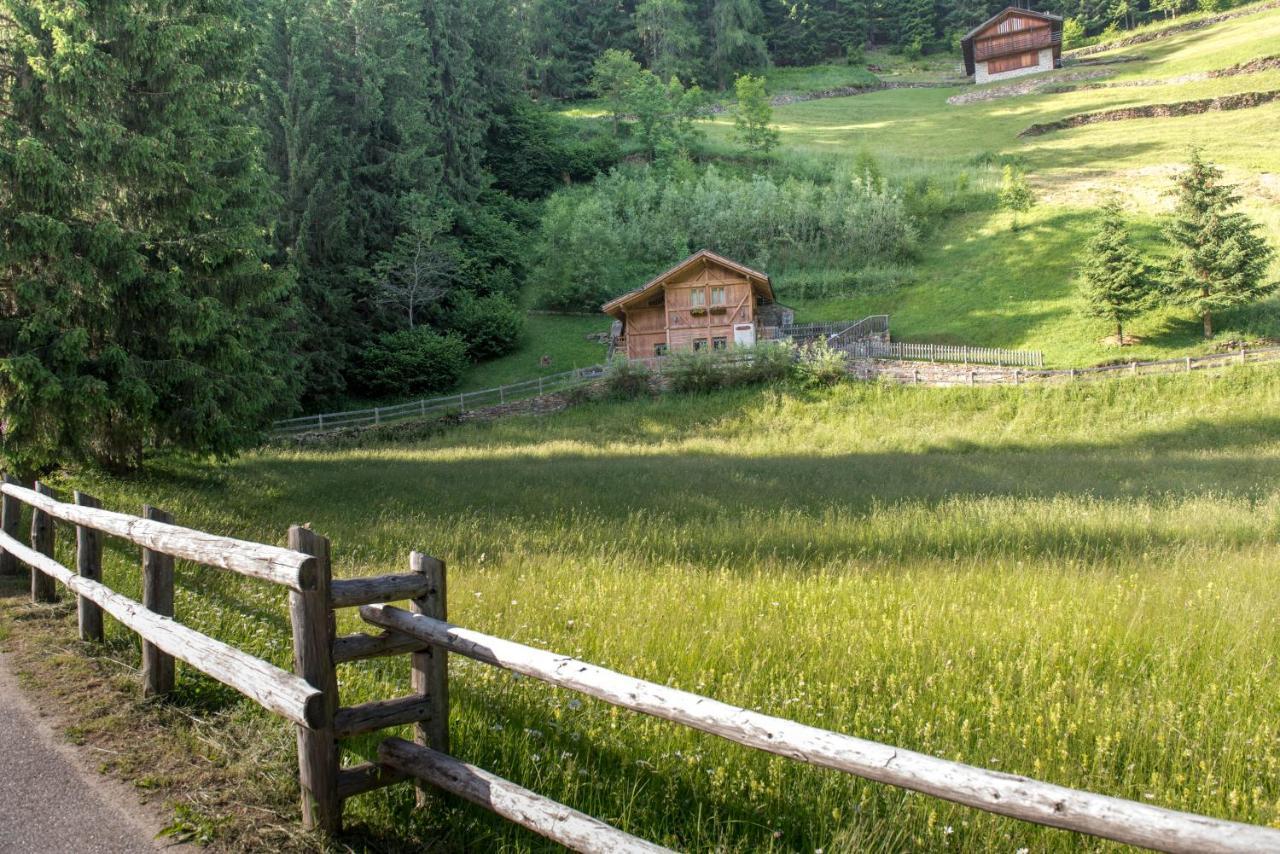 Chalet Bambi Villa Rabbi Bagian luar foto